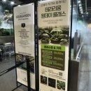 나만의세상 테라리움 만들기 | 아쿠아가든에서 나만의 테라리움 만들기 솔직 방문 후기