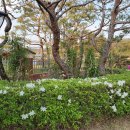 해찬솔가 이미지