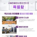 서울동물영상종양센터 네이버블로그