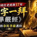 17년간 호랑이와 함께 살며 《화엄경》의 글자마다 절을 올리고 위태천의 가호를 입은 노스님 (홍개 스님의 실화) 이미지