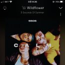 줌님들..5sos 노래 개좋아여 이미지