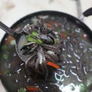 다도해해상민박 이미지