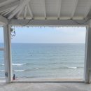 270-4553 | [부산 기장 카페] 바다가 그림이었던 오션뷰 보러 간 솔밭커피