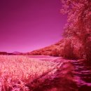 (주)레드에너지 이미지