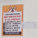 아이케어 동물병원 이미지