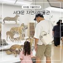 한국토종씨앗박물관 | 서대문 자연사박물관 4살 아이랑 서울 실내 가볼만한곳 추천 주차 입장료 관람 후기
