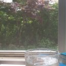 여름동화 이미지