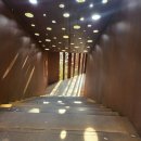태창오리 | 각자의 인생에 새겨진 열네가지 드라마(PEAK의 1박 2일 사유여행)