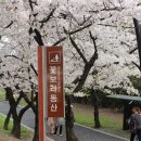 팔공노인복지관 앞 이미지