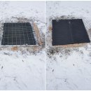 진접초등학교 이미지