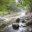 왕피천하늘담 이미지