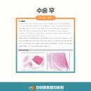 한마음동물의료원 네이버블로그