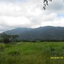 대지농장 이미지