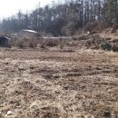 강하보건지소 이미지