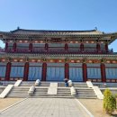 성주카병원 이미지