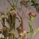 플로리스트자격 이미지