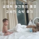 오늘독 | [애개여행] 글램독 애견 펜션 통영점 내돈내산 자세한 숙박 후기 (부대시설/ 먹거리 추천)
