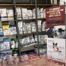 닥터원동물병원 이미지