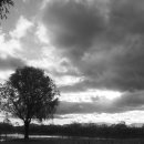 낙동강변10 이미지