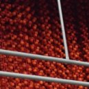 하얀민들레생태마을 이미지