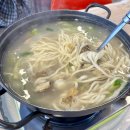 당진 삽교천 맛집 불타는청춘조개구이 조개칼국수 후기 김치까지 맛집 🍜