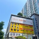 장산