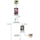 희토류 처리공정도 1 (ROM ▶ REE 분리) : Chemical-Metallurgical Plant Separation Process 이미지