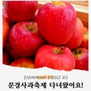 (주)문경종합건설 | 2025 문경사과축제 솔직 후기, 문경 사과 가격, 행사 일정, 주차 정보 알려드려요!
