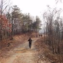 장동리 계곡 이미지