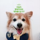 해피 - 동래구 금강공원로 28 | 해피