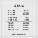 빈체로 휘트니스 네이버블로그