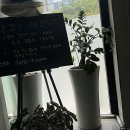 머리여행 미용실 | 인생 머리 찾은 제주미용실 후기! 여기 안 가면 정말 후회할지도 몰라요~