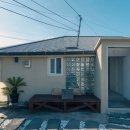 신흥늦장 이미지