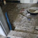 하이베라스텔 이미지