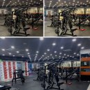 핏불짐 이미지