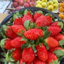 거창청과 이미지