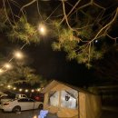 산자락 | 강원도캠핑장 치악산 산자락 계곡품은 풀타프존 원주 한다리골캠핑장 후기