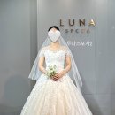 하루호텔 | 스트레이트체형 드레스셀렉 창원 그랜드머큐어앰배서더 드레스 루나스포사,스텔라,라스포사
