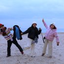 동해바다 이미지