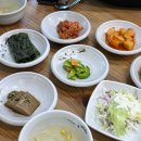 조차모주