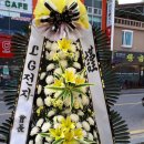 임실꽃화원 네이버블로그