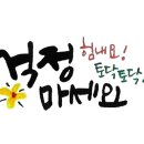 콩이카센타 이미지