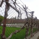 왕궁유적 이미지