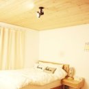 제주 이리스 이미지