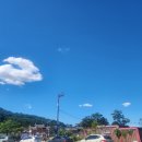 박인석 | 즐겨보는 예능과 기대 중인 영화