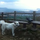 킴스케빈 이미지