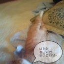 언덕위에 이쁜집 이미지