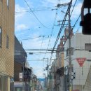 잉꼬다방 | 2024년 초여름 오사카 교토 여행 ep4. 3-2=1