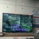 고추노래연습장 이미지