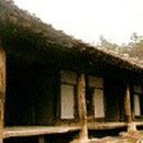 계술재 Daum카페
